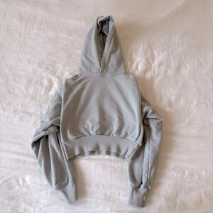 Aritzia TNA Cozy Fleece Perfect Shrunken Hoodie in GD Wolf Grey Size XXS